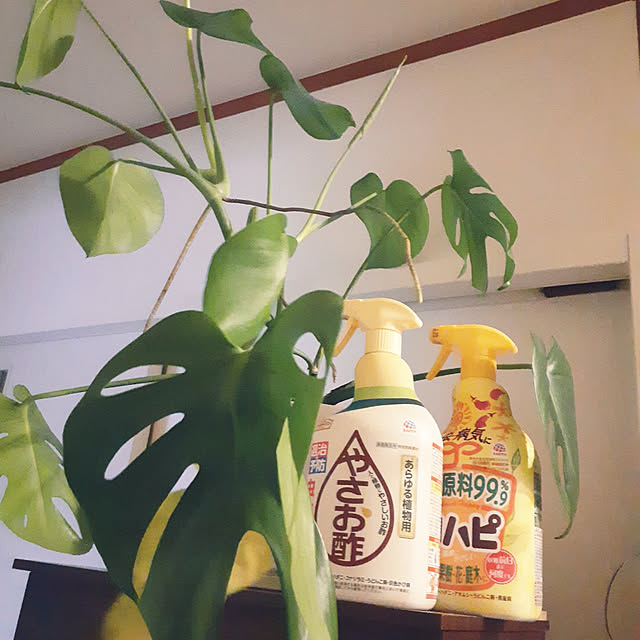 prepreさんの実例写真