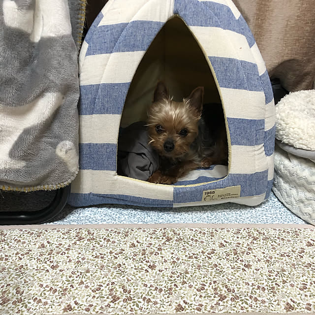 ranさんの実例写真