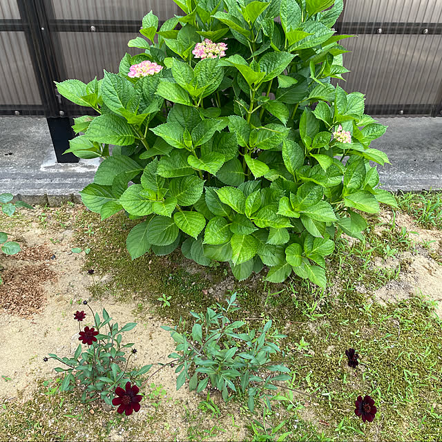 kakoさんの実例写真