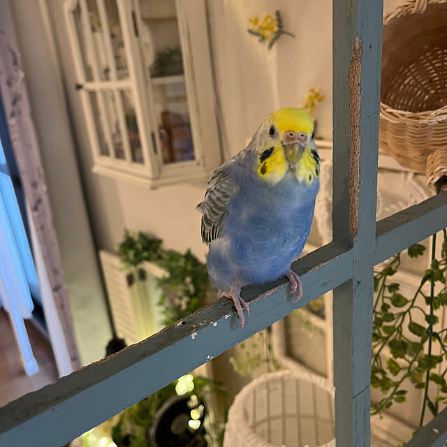 Atsukoさんの部屋
