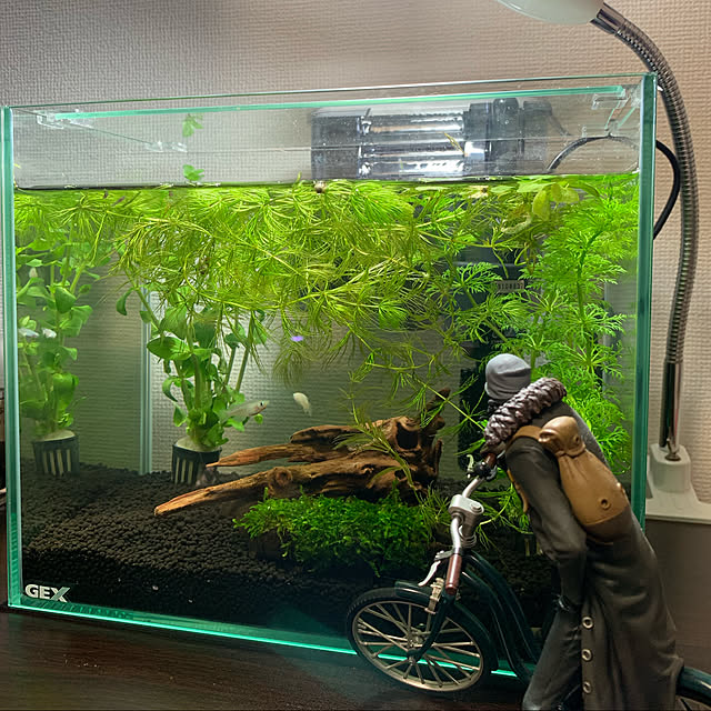 leoさんの部屋