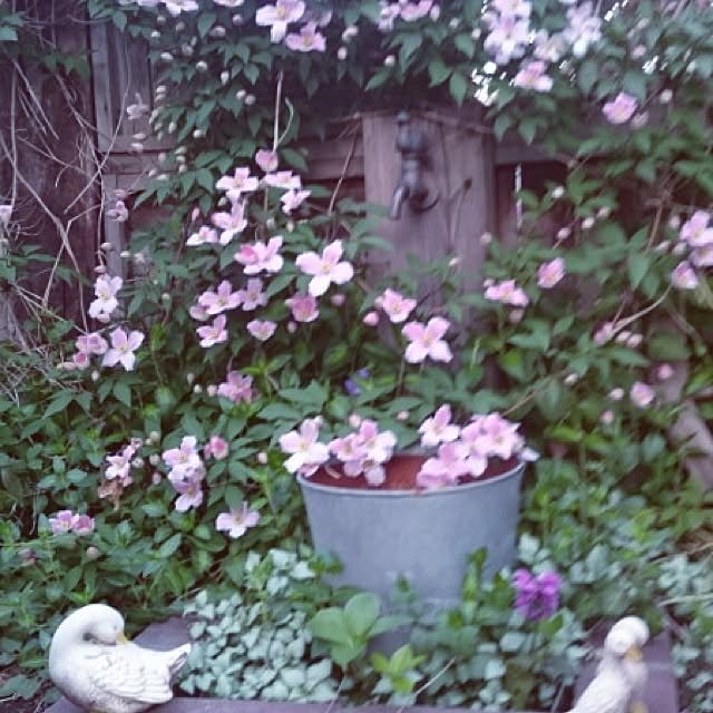実例写真