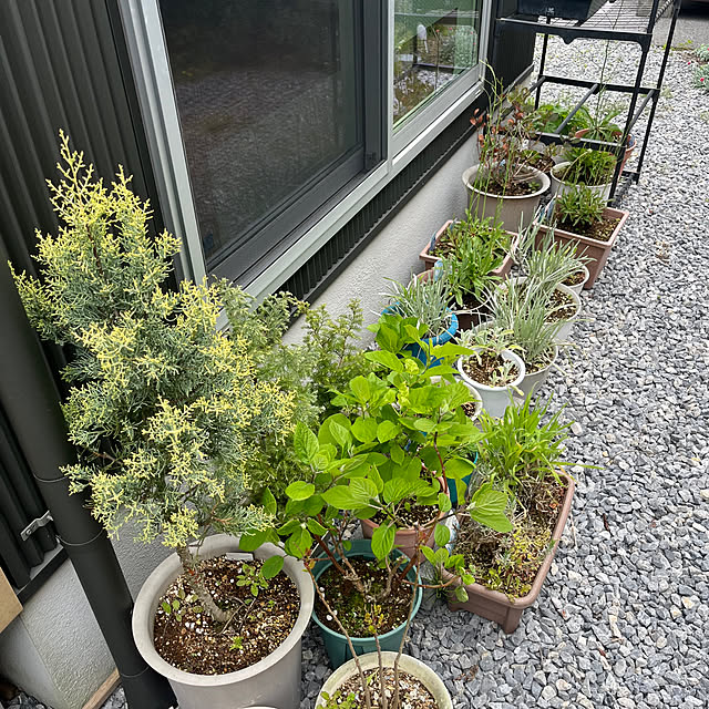 wataroomlifeさんの部屋