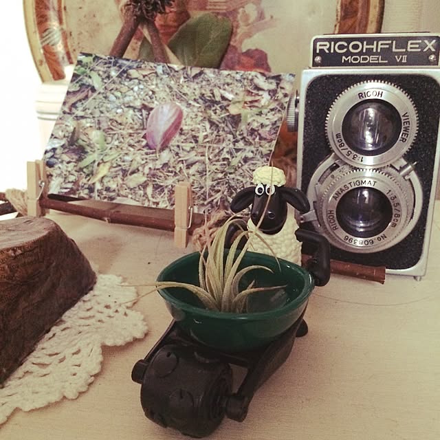 pinocoさんの実例写真