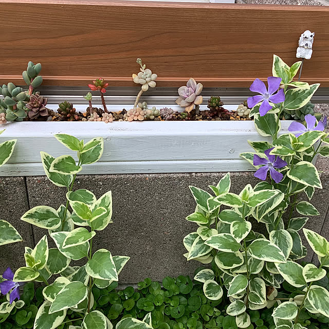 haruminさんの部屋