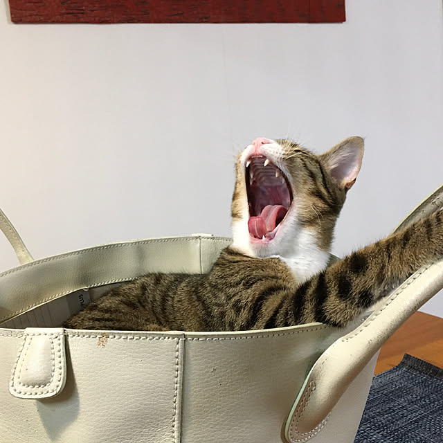 nobikoさんの実例写真