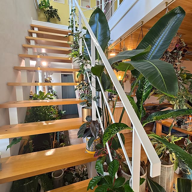 nonbiri_house_さんの部屋