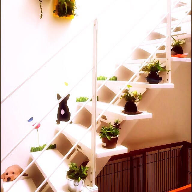 キッチン/観葉植物/IKEA/北欧のインテリア実例 - 2016-04-21 14:50:32