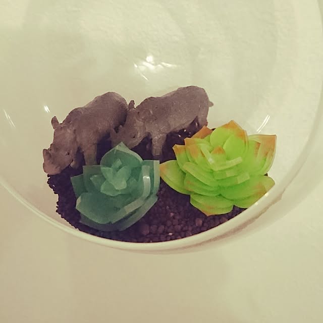 smooch_smoochさんの実例写真