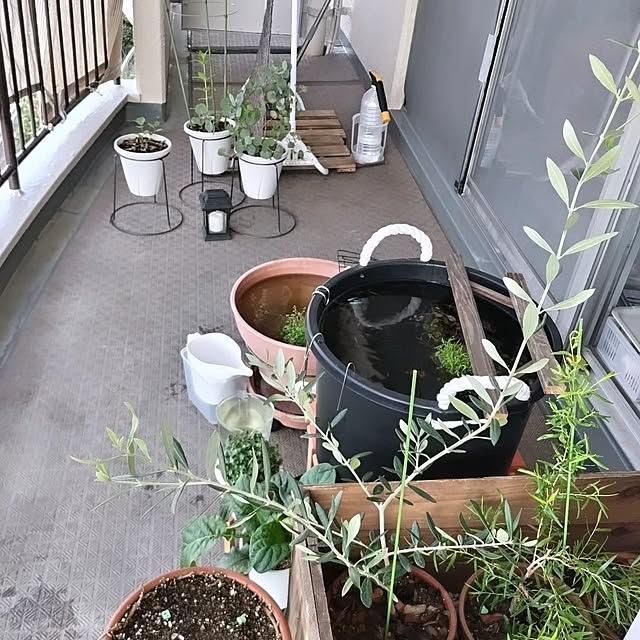 mi-saさんの部屋