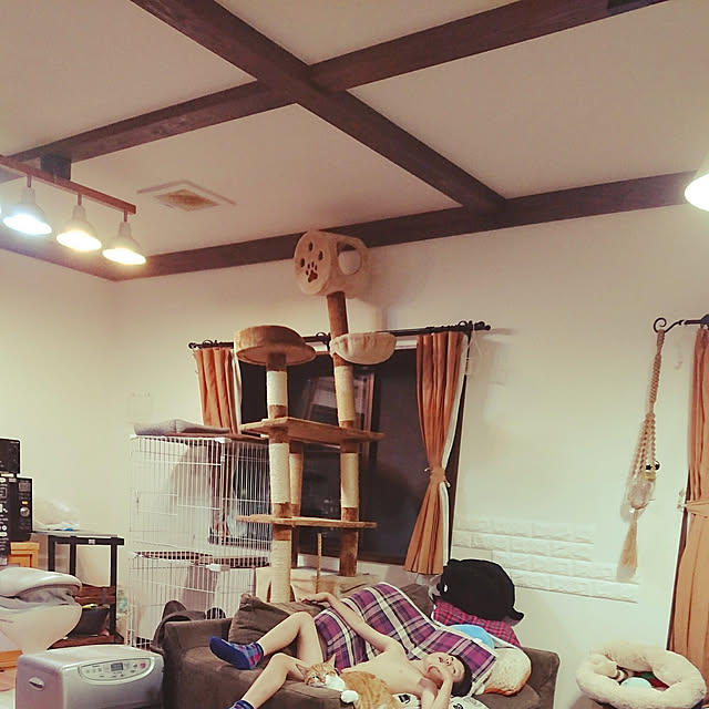 harunaさんの実例写真