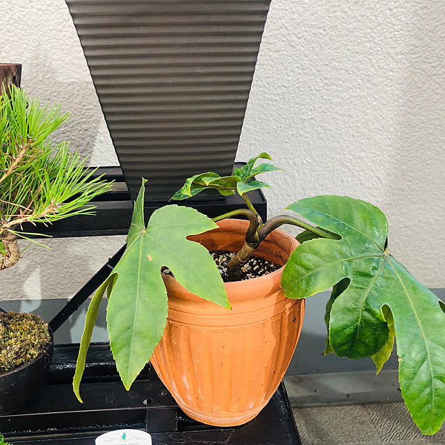 wakiさんの部屋