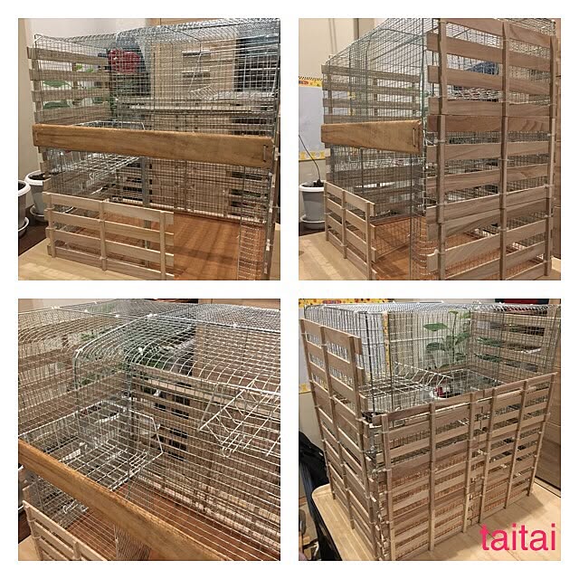 taitaiさんの実例写真