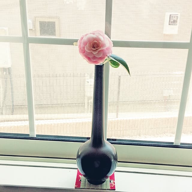 annaさんの実例写真