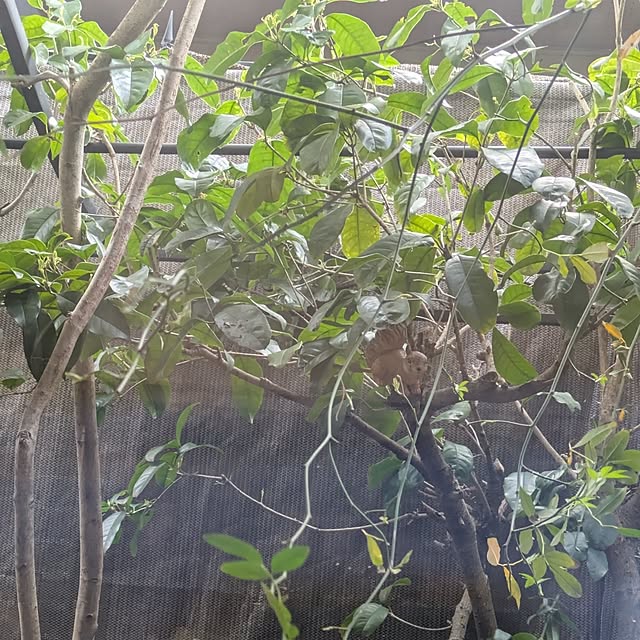 mori_6_12さんの部屋