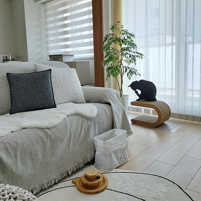 sakuraさんの部屋