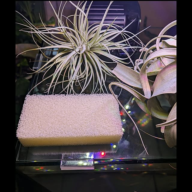 aromameさんの実例写真