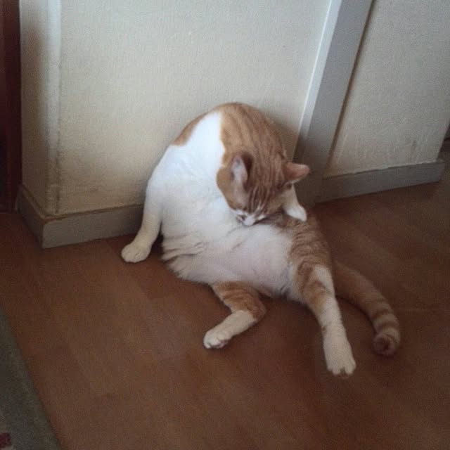nitaさんの実例写真