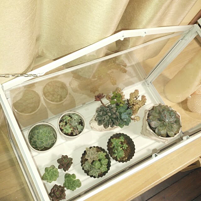 szk19さんの実例写真