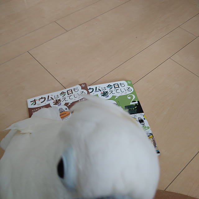 tkさんの実例写真