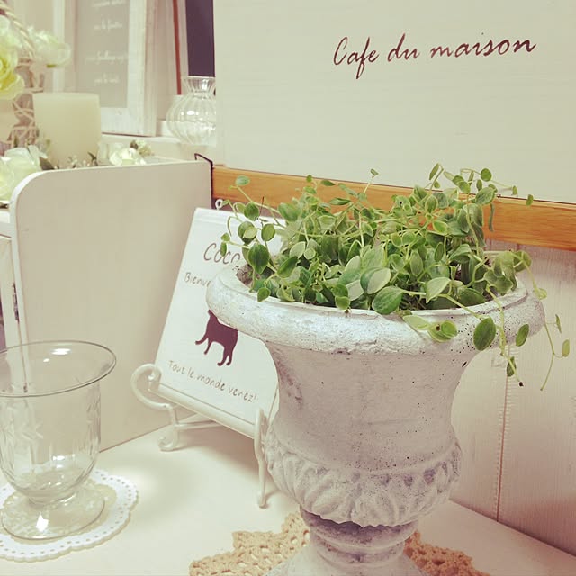 m.cocogardenさんの実例写真