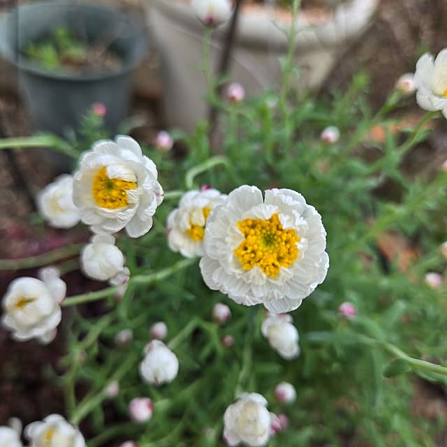 min_nimさんの部屋