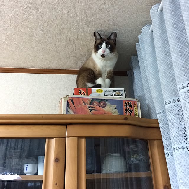 louis_louisさんの実例写真