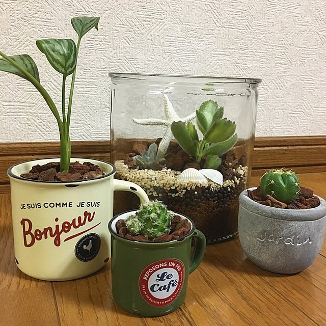 airiさんの実例写真
