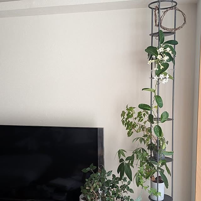 nolleyさんの部屋