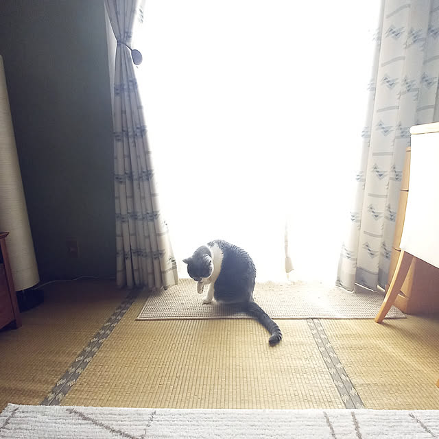 rhuさんの実例写真