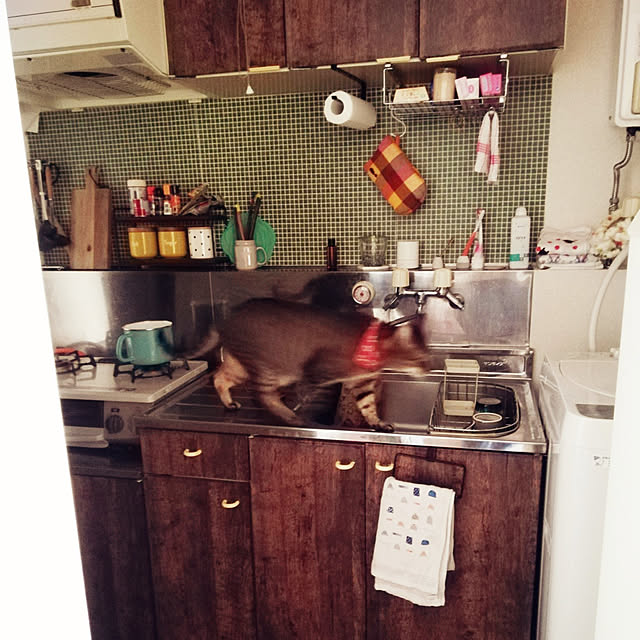 qqnx3tmdさんの実例写真
