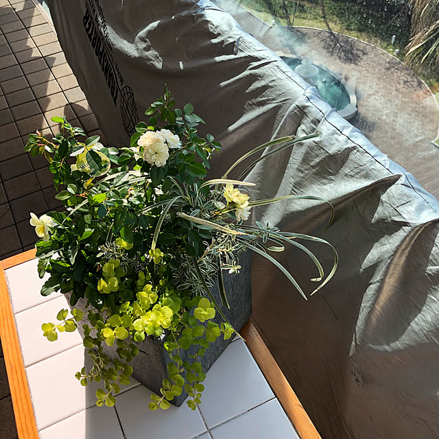 momonaさんの実例写真