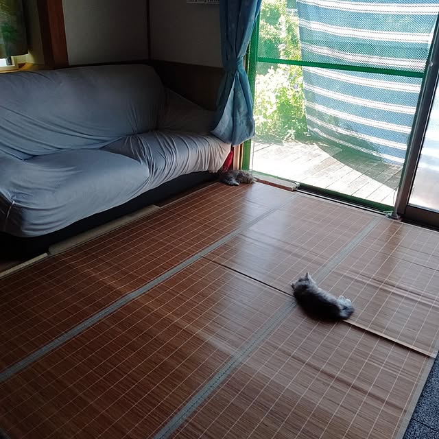 makaronさんの部屋