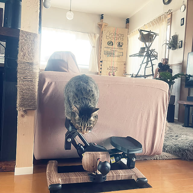 Mさんの部屋