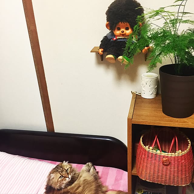 miyapp.hiroppさんの実例写真