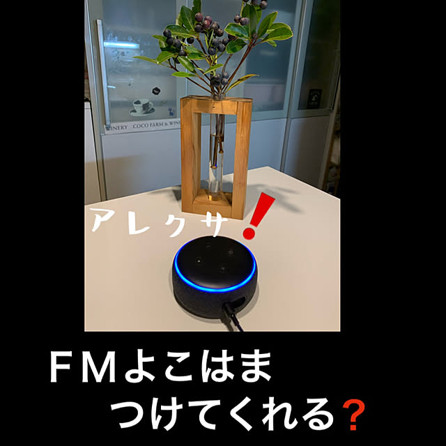 syutmmさんの実例写真