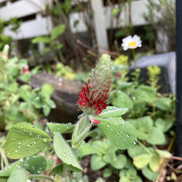 min_nimさんの実例写真
