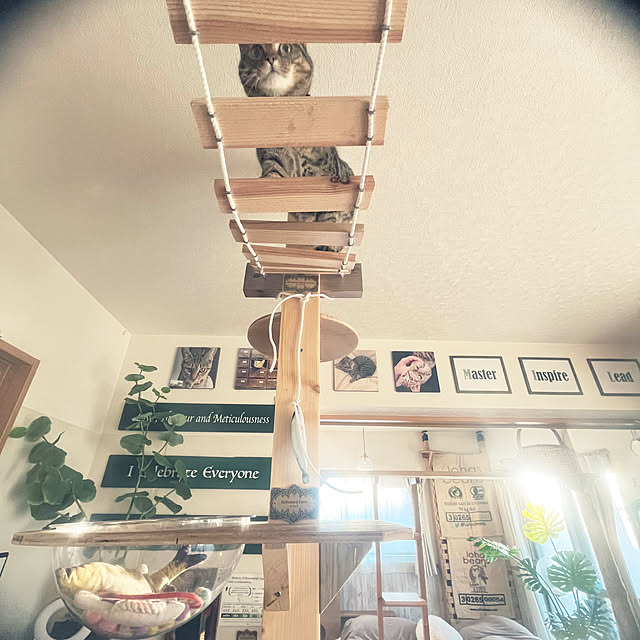 Mさんの実例写真