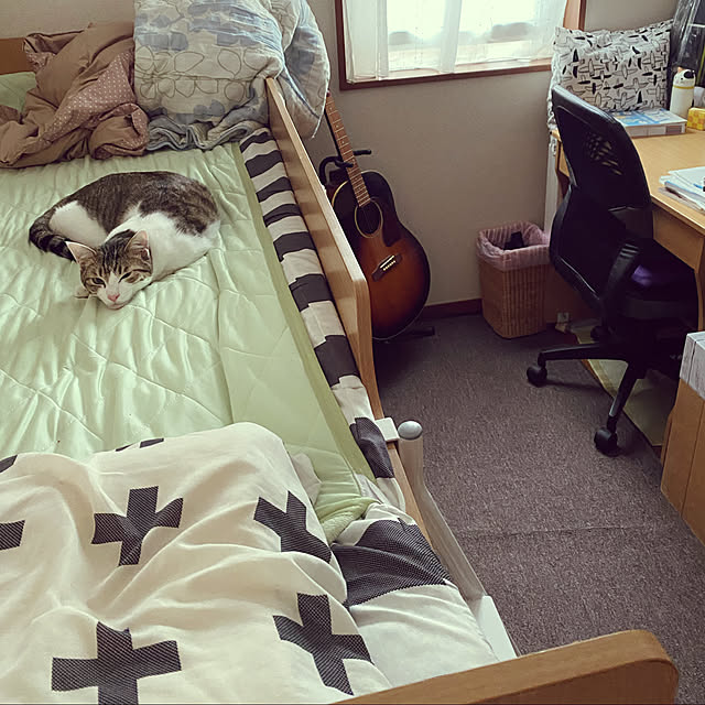 Lufuさんの実例写真