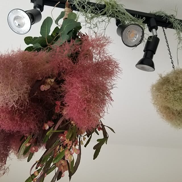 chieさんの部屋
