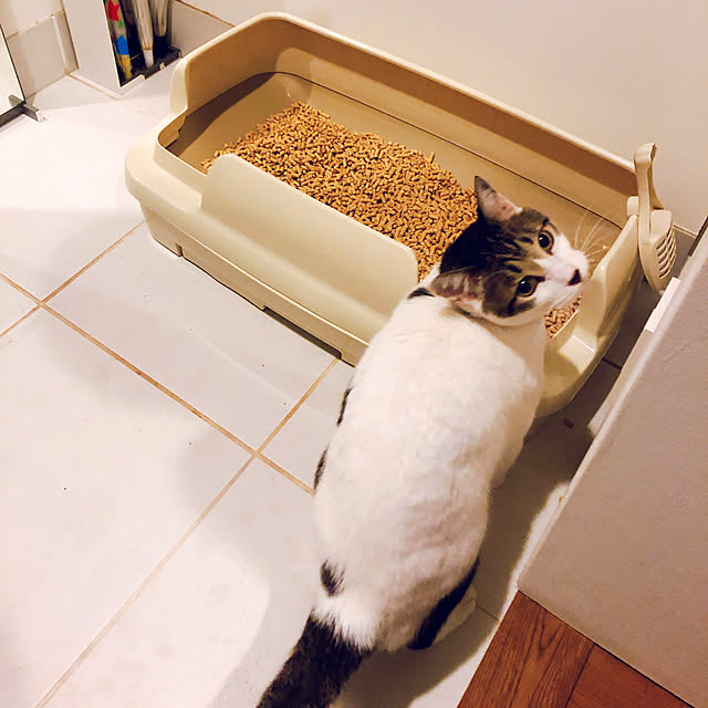 yukimiさんの実例写真