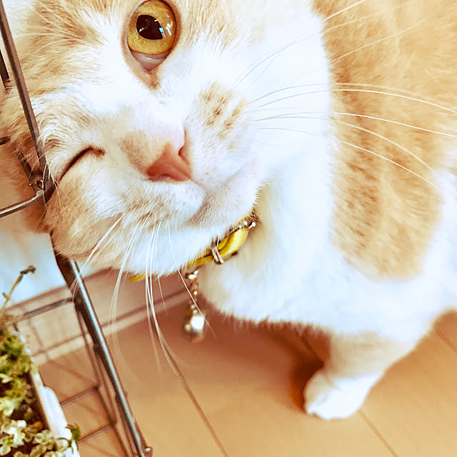 BUNさんの実例写真