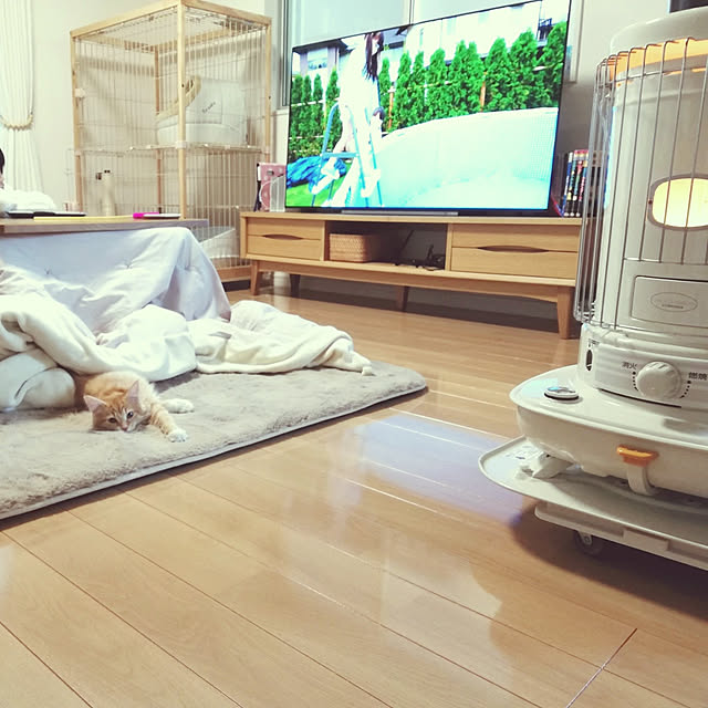 pinokoさんの実例写真