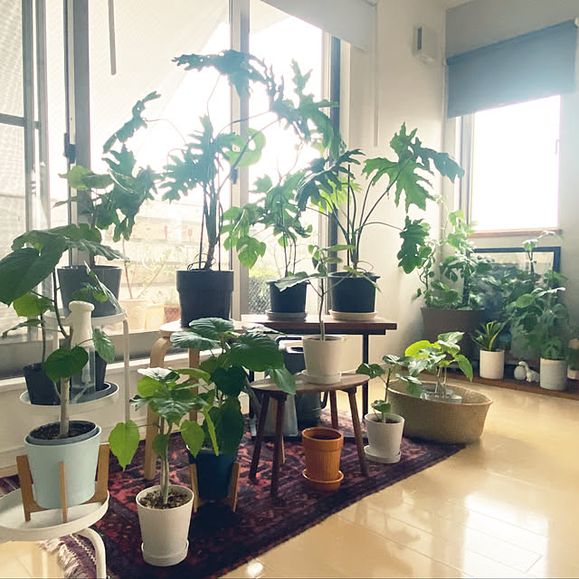 y.さんの部屋