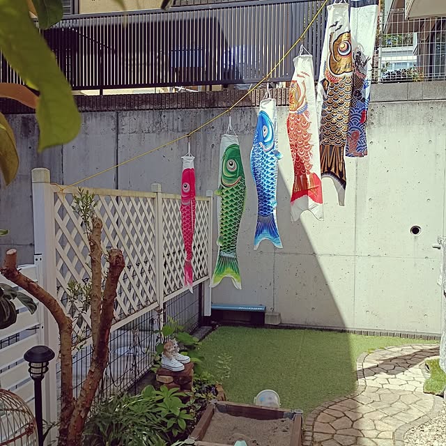 kana_ciiさんの実例写真