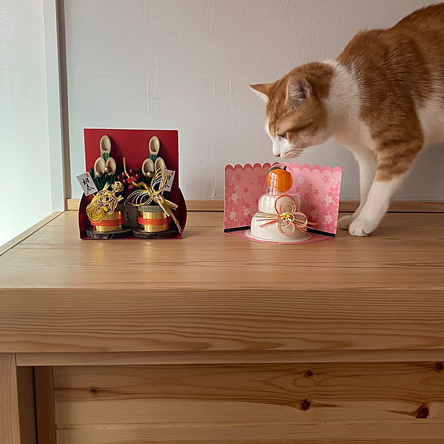 senbei.sakuramochiさんの実例写真