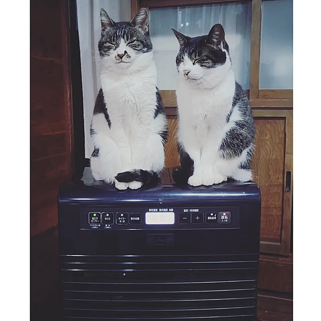 yukiさんの実例写真