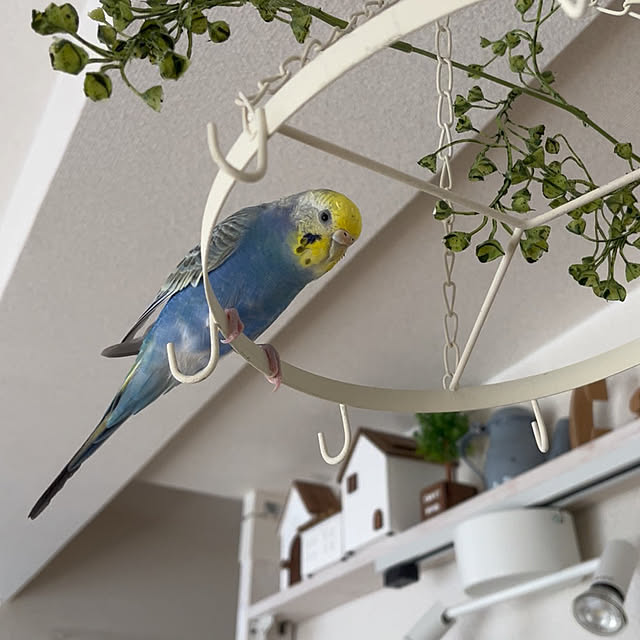 Atsukoさんの部屋