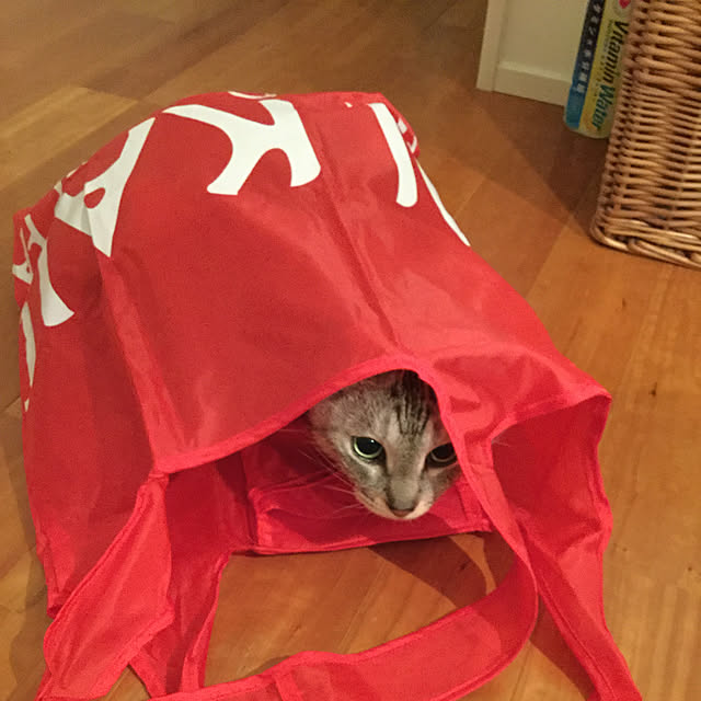 maroさんの実例写真