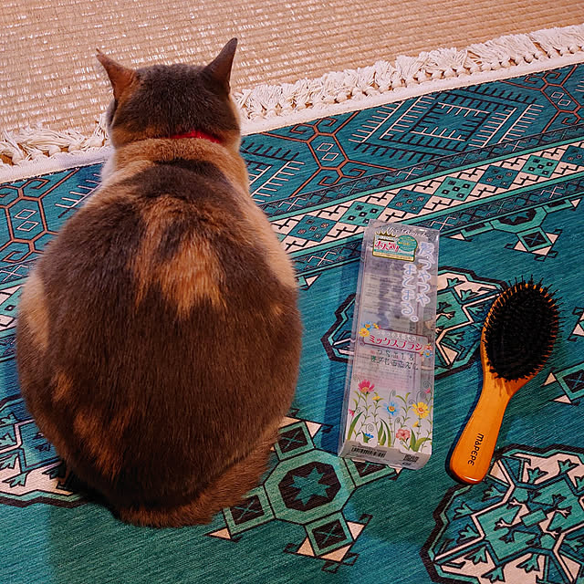 fukuさんの実例写真